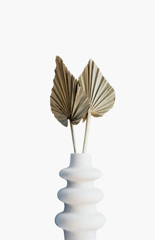 Home Product Category 5 1